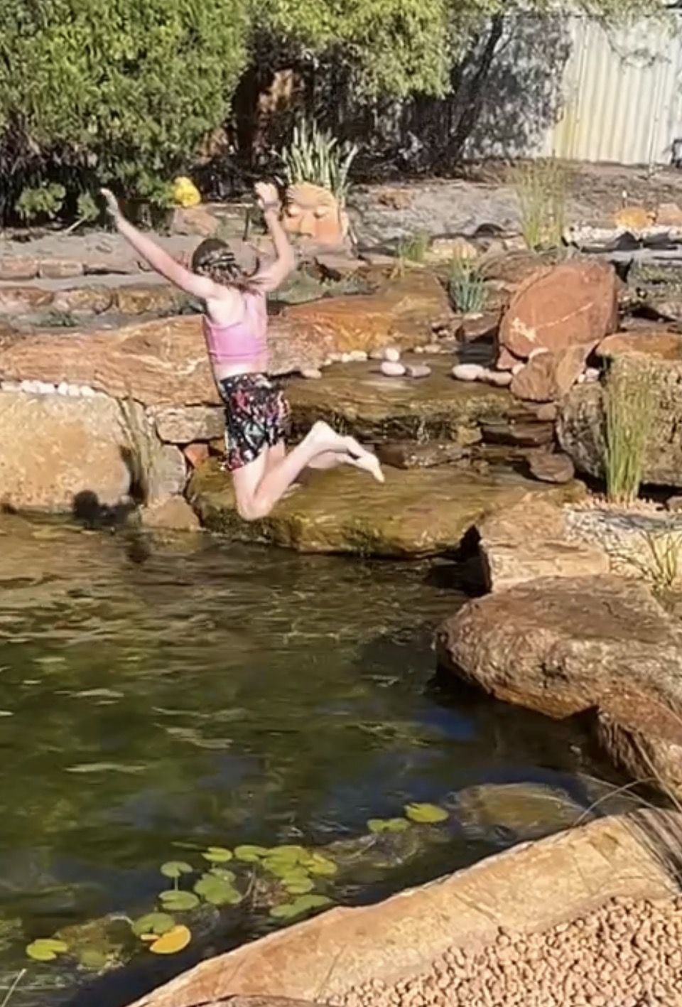 Swimmable natural pool