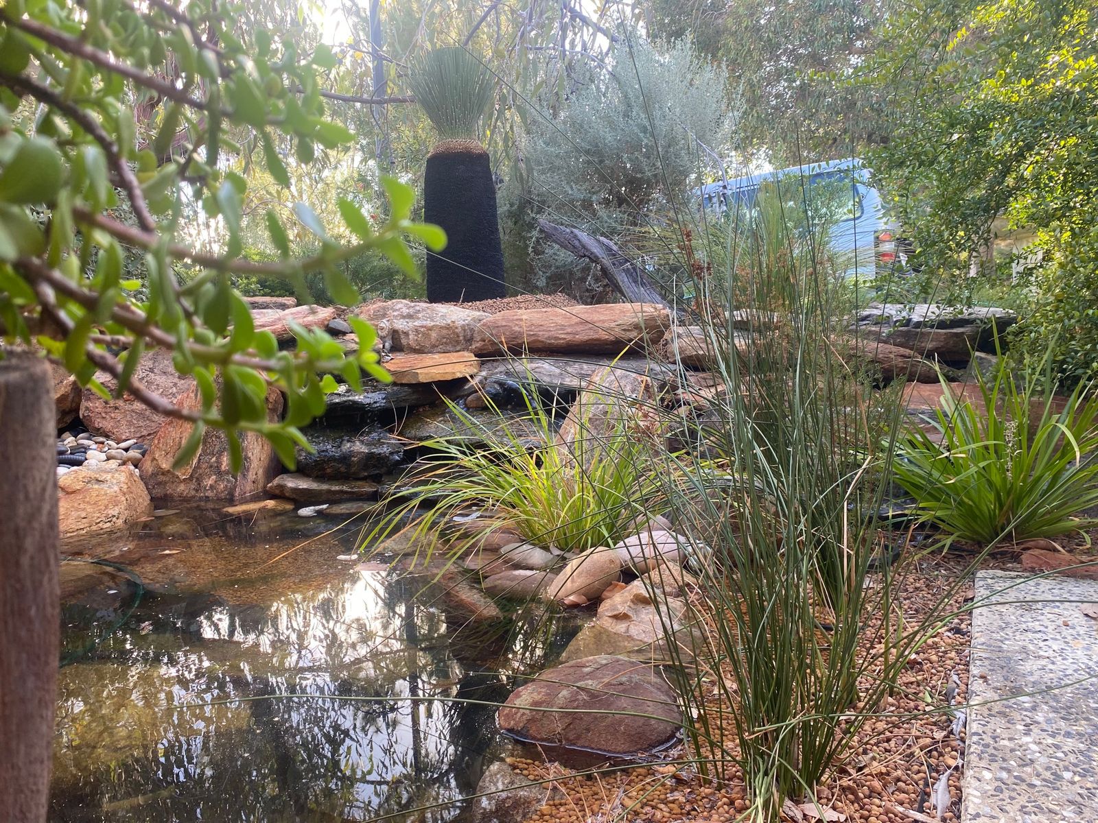 Wildlife habitat